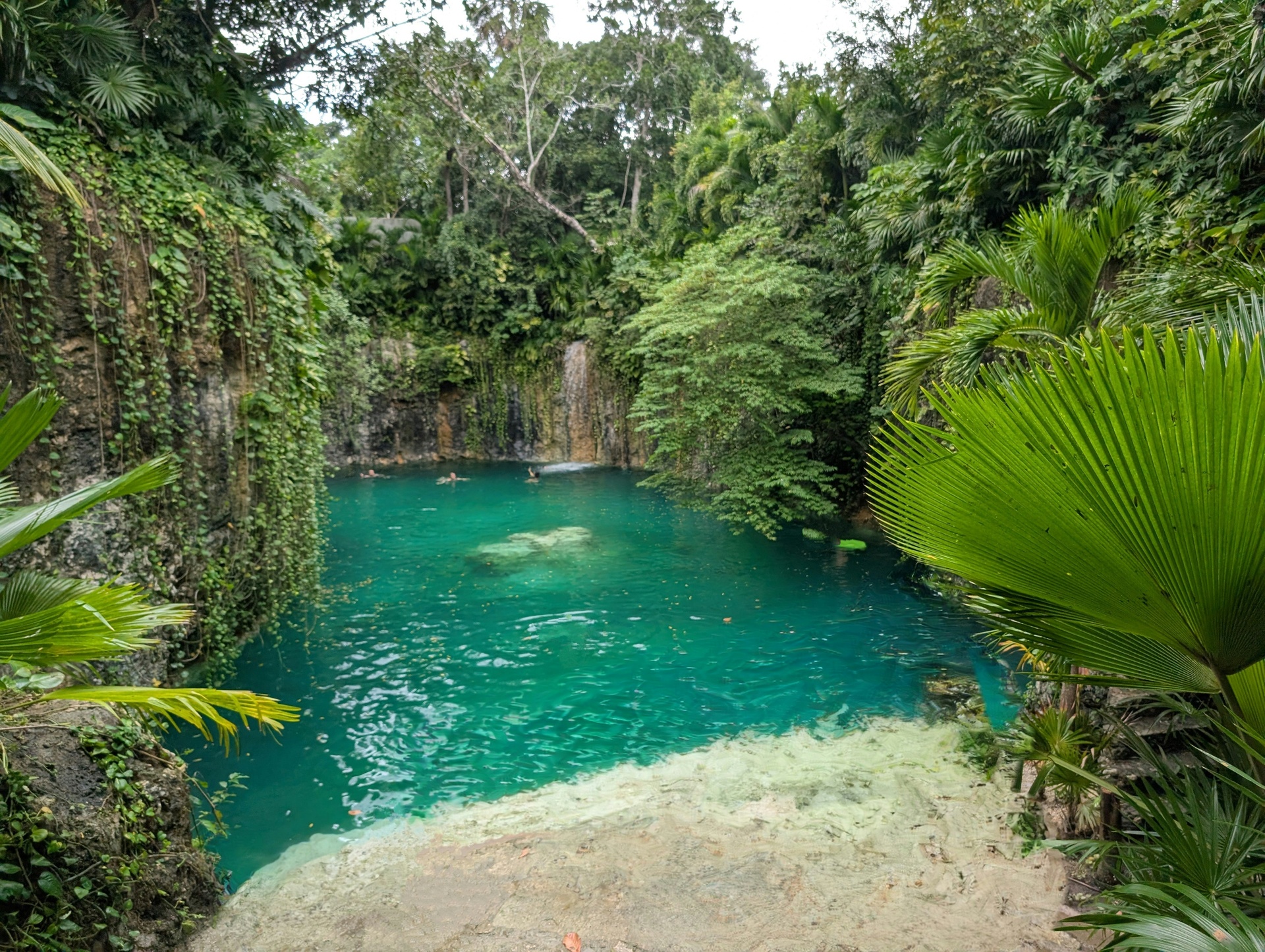 Cenote yucateco con agua turquesa y raíces colgando del techo