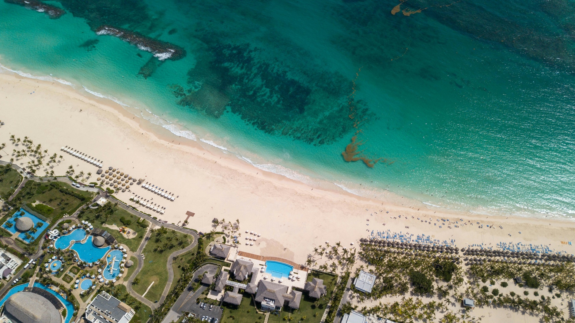 Playa de palmeras y arena blanca en Punta Cana con camastros