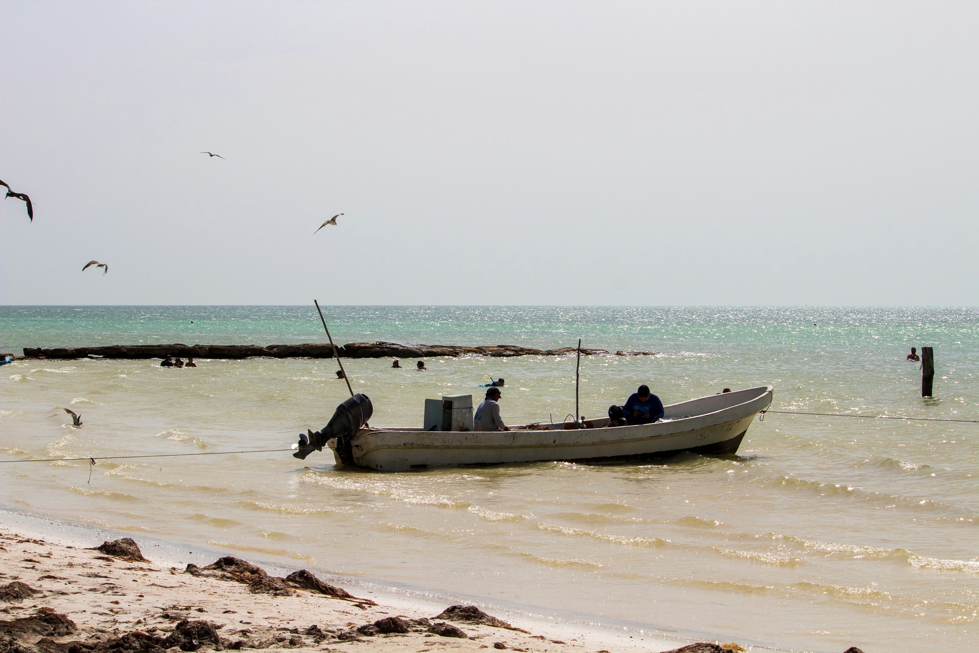 Playa de arena blanca en Isla Holbox al atardecer