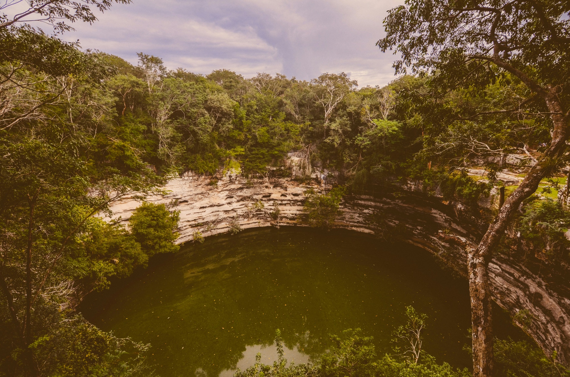 Cenote de aguas cristalinas con raíces colgando, típico de Yucatán