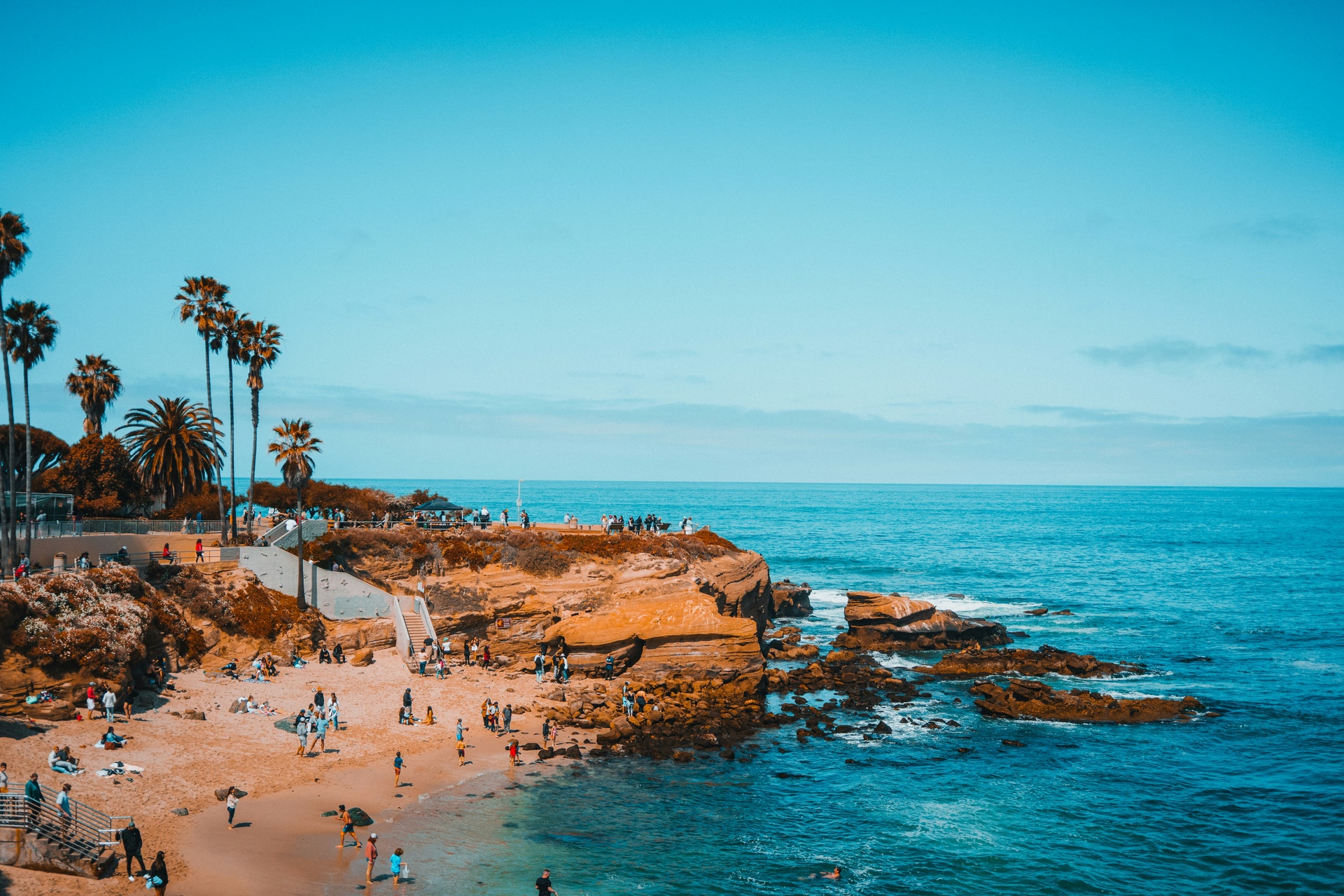 Vista de la costa de San Diego con palmeras y playa