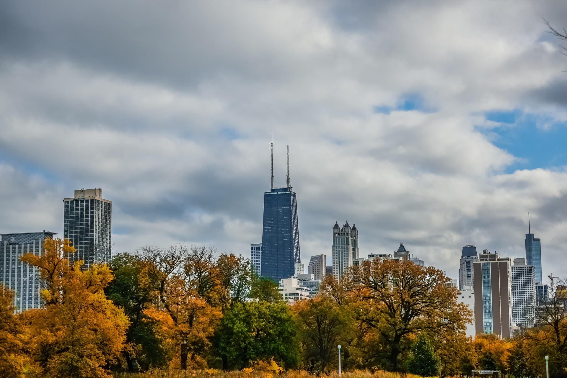 Skyline de Chicago visto desde un parque con árboles otoñales