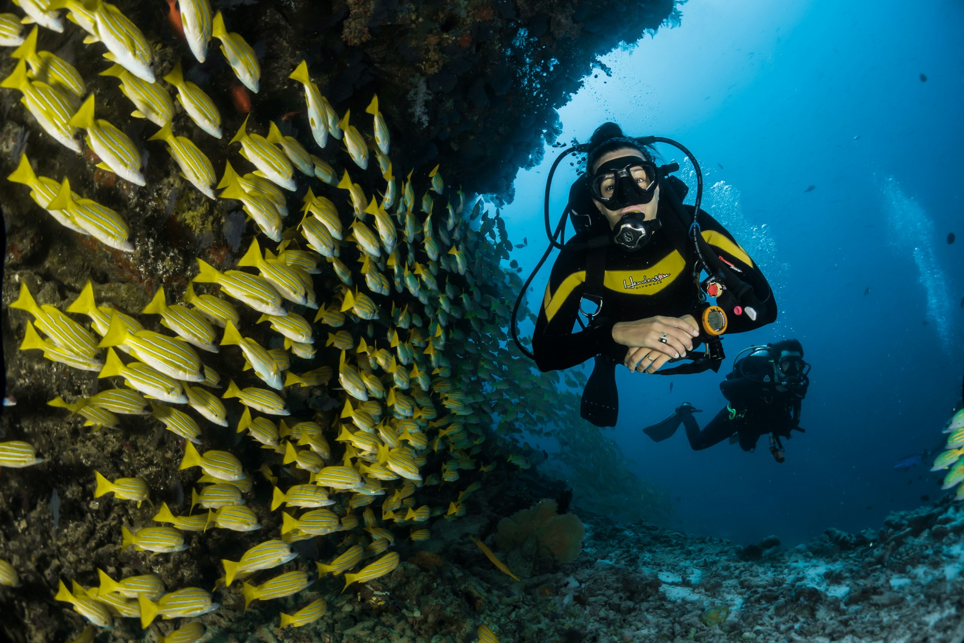Buzo explorando un arrecife de coral en el Caribe
