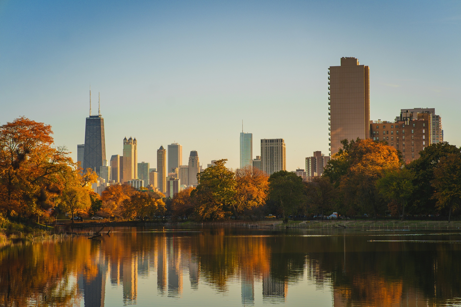 Rascacielos de Chicago con árboles otoñales al frente
