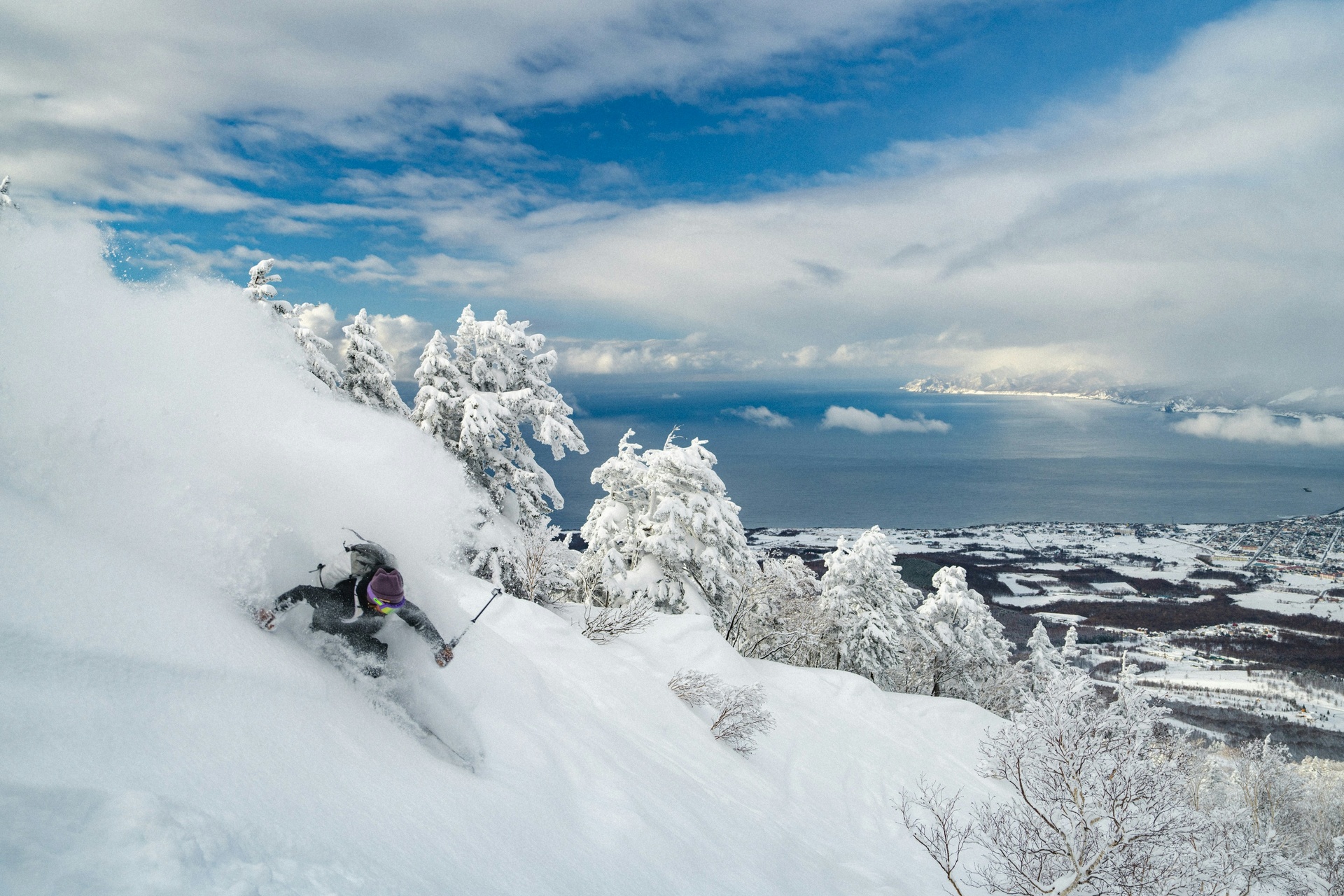 Esquiador bajando por nieve polvo en Niseko, Hokkaido