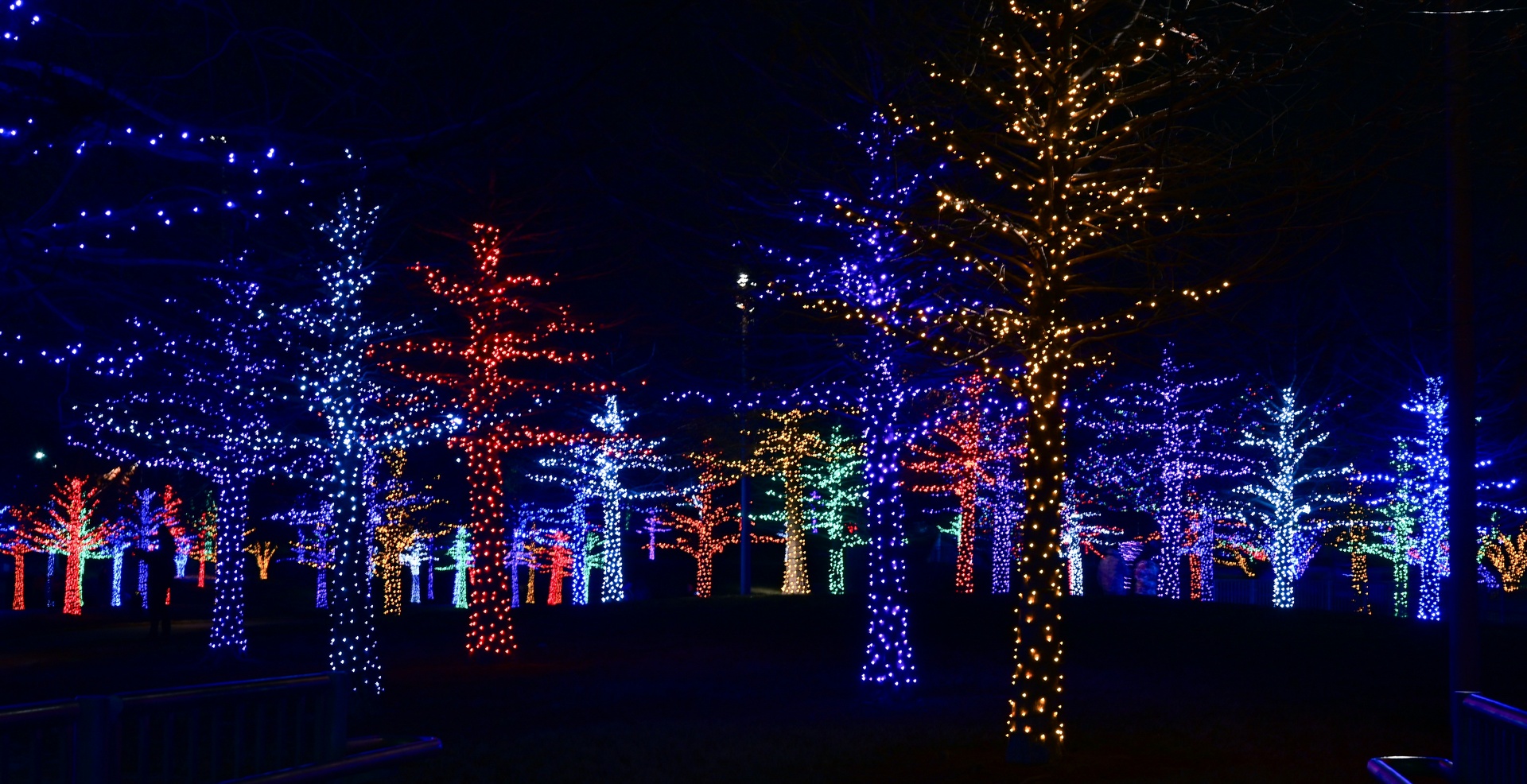 Parque iluminado con luces navideñas por la noche