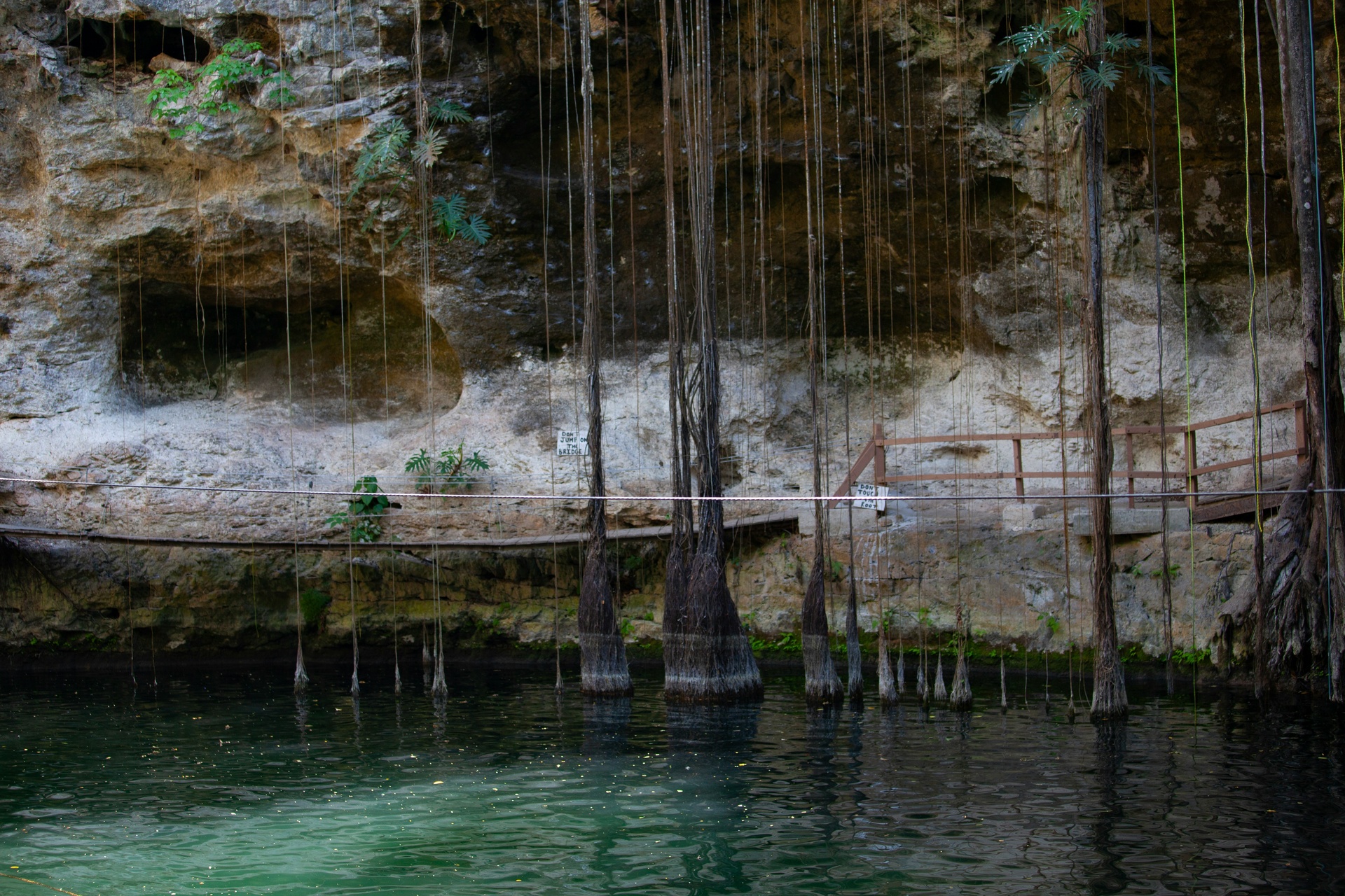 Ceremonia maya con velas al borde de un cenote
