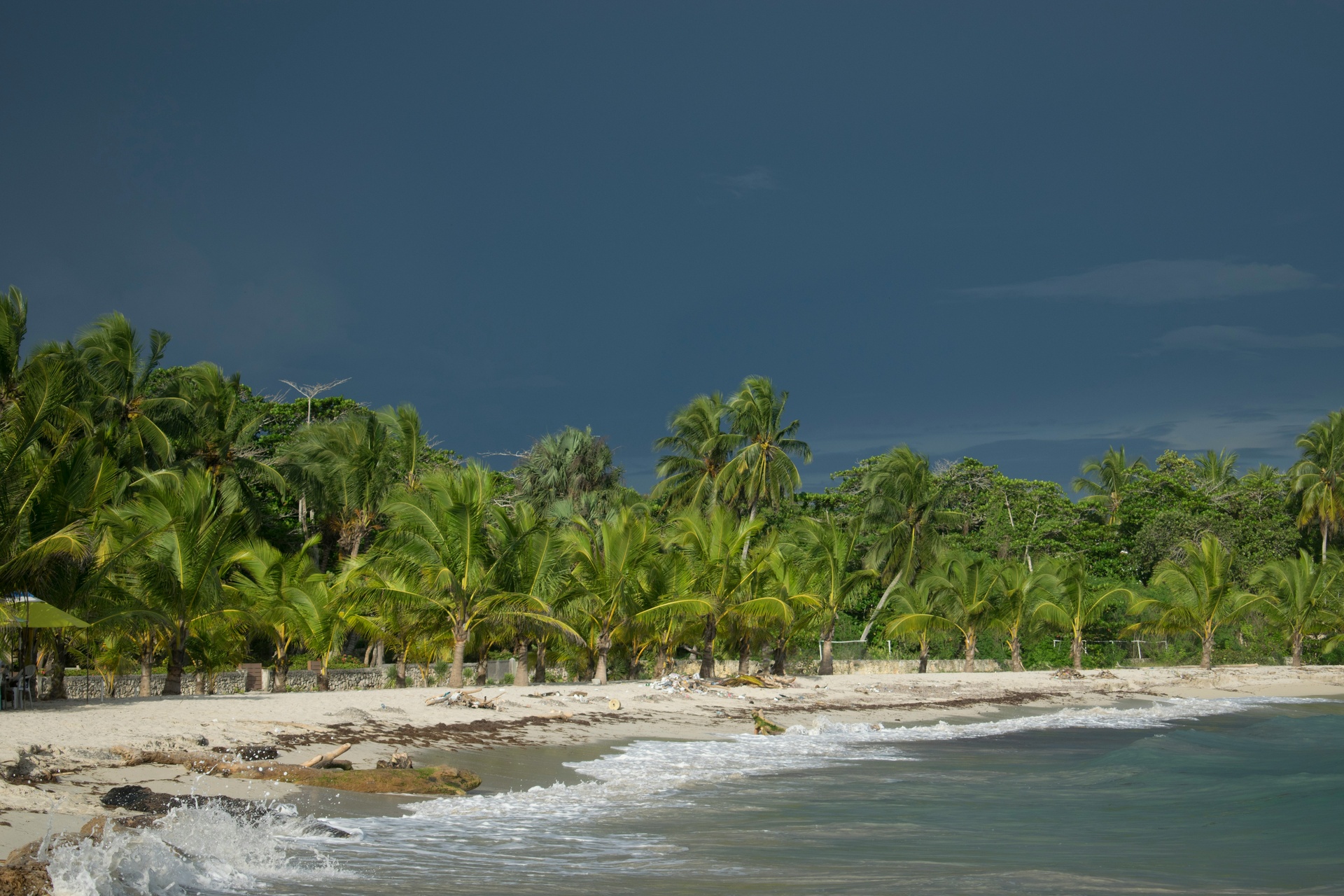 Palmeras bajo viento fuerte en una playa del Caribe